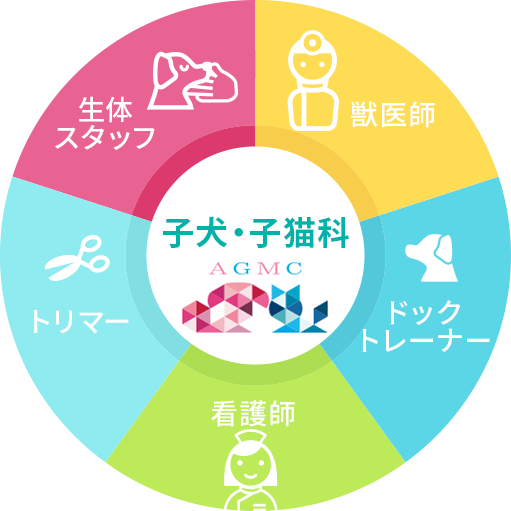子犬・子猫科